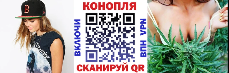 Канабис VHQ  где найти   KRAKEN как войти  Вихоревка 